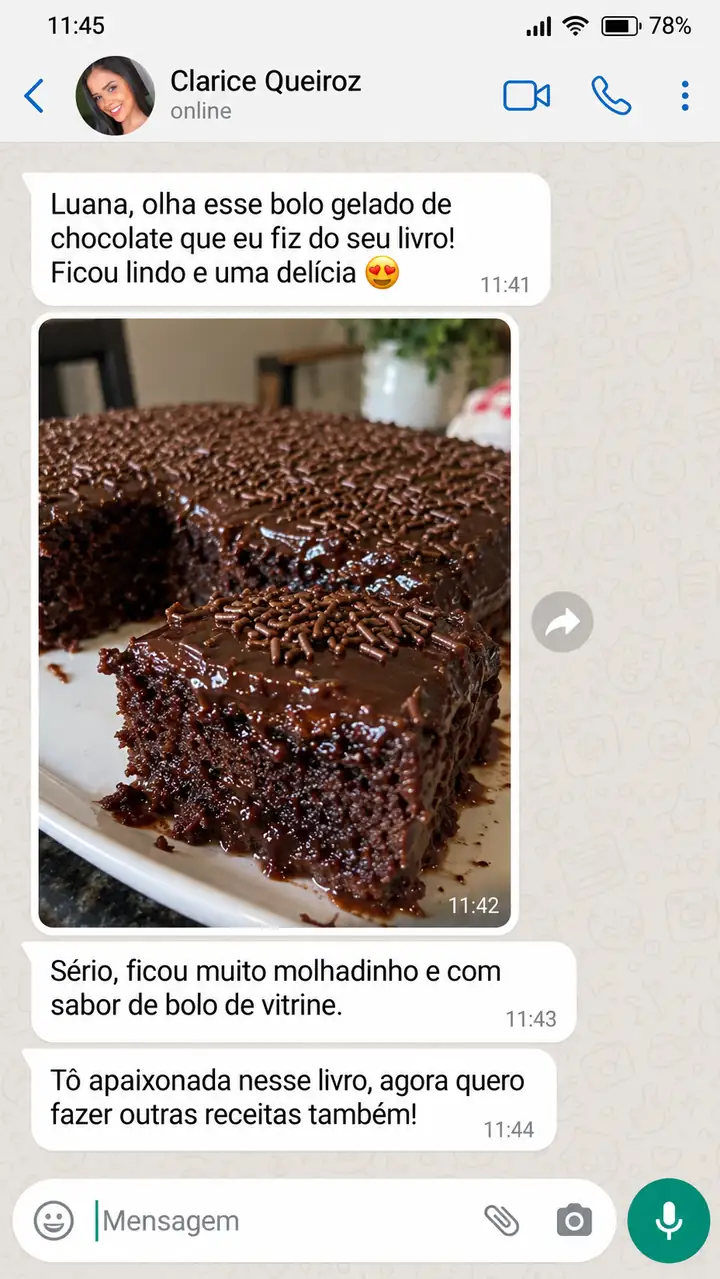 Print da conversa com Clarice Queiroz