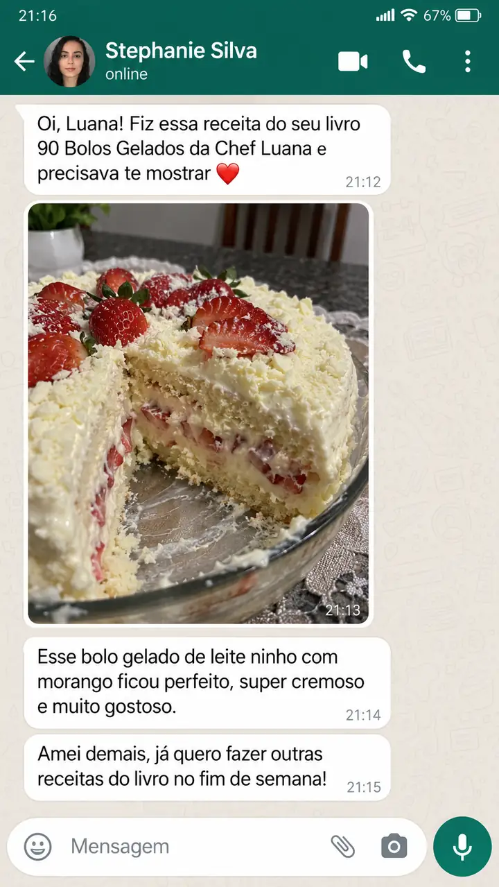 Print da conversa com Stephanie Silva
