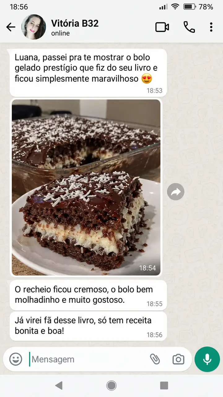 Print da conversa com Vitória B32